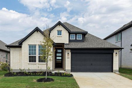 New construction Single-Family house 14478 Lovelace St, Pilot Point, TX 75009 plan 14478 Lovelace - image