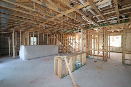 New construction Single-Family house 4877 Foxglove Cir, Lakeland, FL 33811 Alenza- photo 22 22