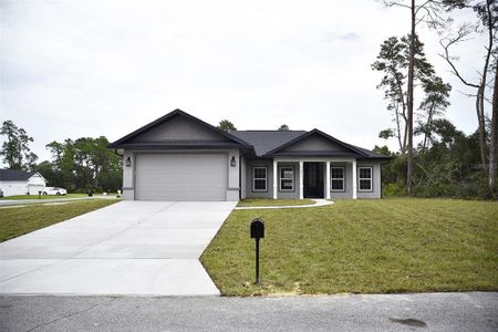 New construction Single-Family house 16855 Sw 25Th Ct, Ocala, FL 34473 null- photo 22 22