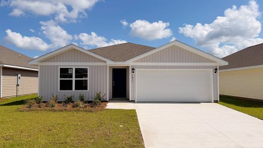New construction Single-Family house 7071 Merlyn Dethlefsen Rd, Panama City, FL 32404 plan The Freeport - image