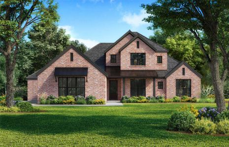 New construction Single-Family house 2215 Draco Dr, Rockwall, TX 75087 - image