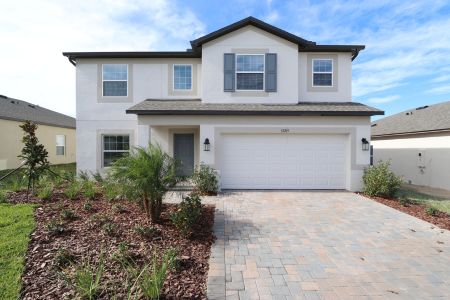 New construction Single-Family house 12219 Hilltop Farms Dr, Dade City, FL 33525 Malibu- photo 122 122