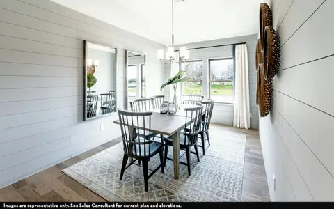 New construction Single-Family house 7501 Poplar Dr, Argyle, TX 76226 plan Sabine - image 14