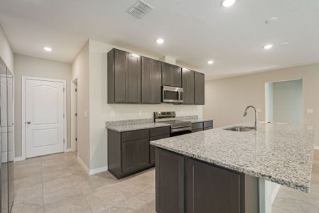 New construction Single-Family house 24215 NW 11th Ln, Newberry, FL 32669 The Drexel- photo 30 30