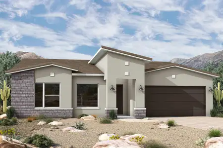 New construction Single-Family house 2896 E Cold Press Dr, San Tan Valley, AZ 85140 plan The Monticello - image