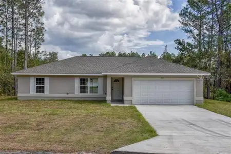 New construction Single-Family house 21 Malauka Radial Cir, Ocklawaha, FL 32179 - image