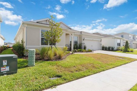 New construction Single-Family house 5503 Banyan Bay Rd, St. Cloud, FL 34771 plan Merlot - image