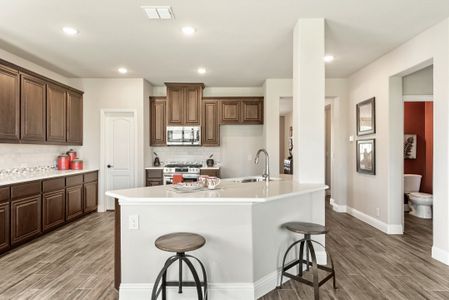 Arcadia Trails Classic 50 by Bloomfield Homes in Balch Springs - photo 22 22