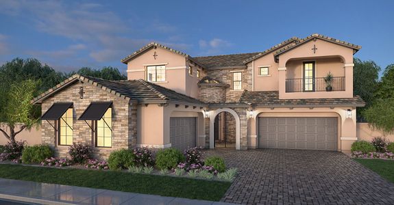 Earnhardt Ranch by Blandford Homes in Chandler - photo 6 6