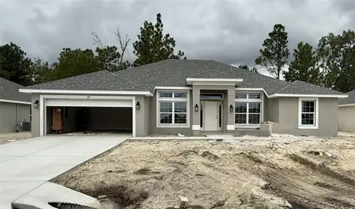 New construction Single-Family house 719 Hallam Dr, Citrus Springs, FL 34434 - image