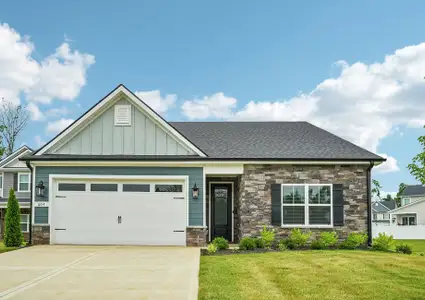 New construction Single-Family house 320 Springbrook Blvd, White House, TN 37188 plan Chesney - image