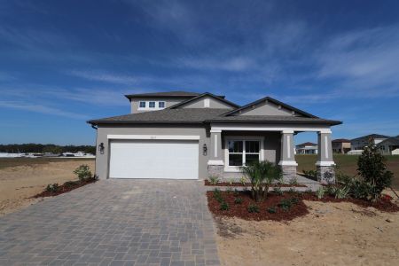 New construction Single-Family house 38357 Palomino Dr, Dade City, FL 33525 Picasso Bonus- photo 18 18