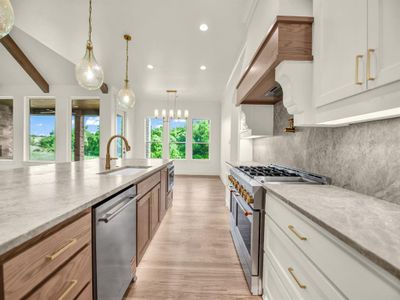 New construction Single-Family house 614 Hondo Xing, Weatherford, TX 76087 - image 9