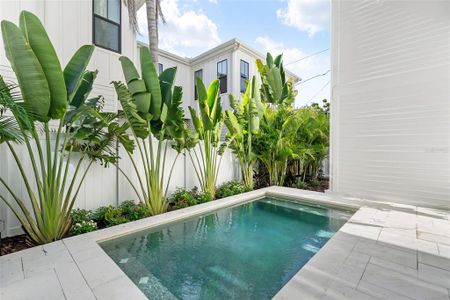 New construction Single-Family house 321 12Th Ave Ne, St. Petersburg, FL 33701 - image 3