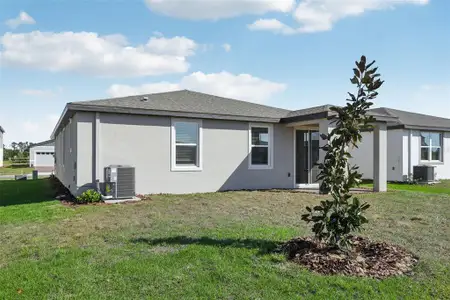 New construction Single-Family house 317 Castle Dr, Lake Alfred, FL 33850 plan Daphne - image