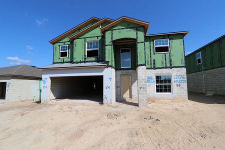 New construction Single-Family house 12176 Hilltop Farms Dr, Dade City, FL 33525 Malibu- photo 22 22