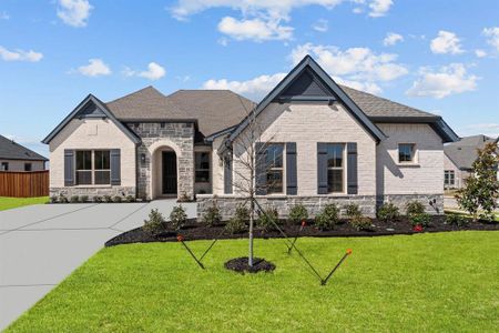 New construction Single-Family house 113 Calf Ln, Midlothian, TX 76065 plan The Chamberlaine - image