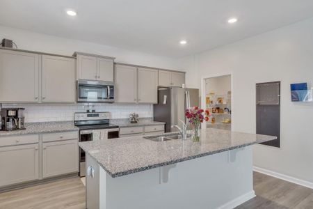 New construction Single-Family house 432 Blue Elderberry, Moncks Corner, SC 29461 null- photo 11 11