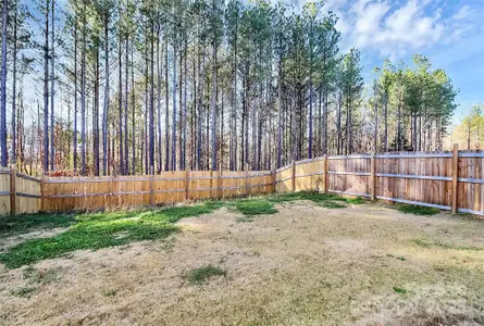 New construction Single-Family house 5209 Wolfridge Ave, Charlotte, NC 28214 - image 4