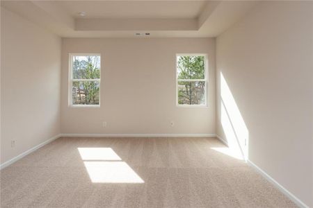 New construction Single-Family house 189 Hydrangea Ct, Dallas, GA 30132 Augusta- photo 18 18