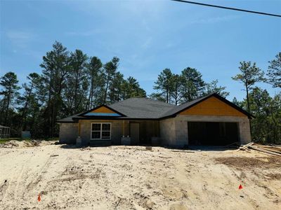 New construction Single-Family house 11406 Labrador Duck Rd, Weeki Wachee, FL 34614 - image