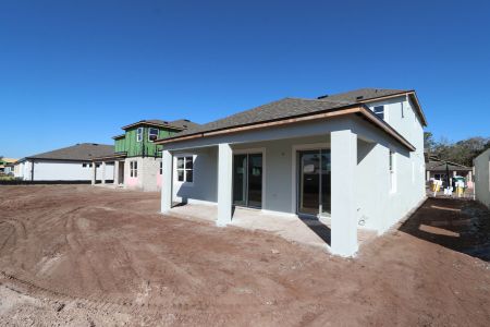 New construction Single-Family house 20264 Oriana Loop, Land O' Lakes, FL 34638 Santa Monica- photo 110 110