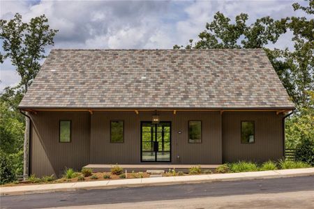 New construction Single-Family house 1072 Lupo Lp, Chattahoochee Hills, GA 30268 - image