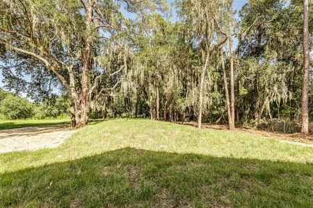 New construction Single-Family house 3038 Thornhill Rd, Winter Haven, FL 33880 - image 20