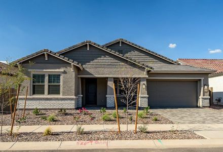New construction Single-Family house 964 W Superstition Ct, Queen Creek, AZ 85140 plan Sandpiper - image