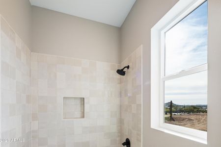 New construction Single-Family house 31612 N Gary Rd, Queen Creek, AZ 85144 - image 13