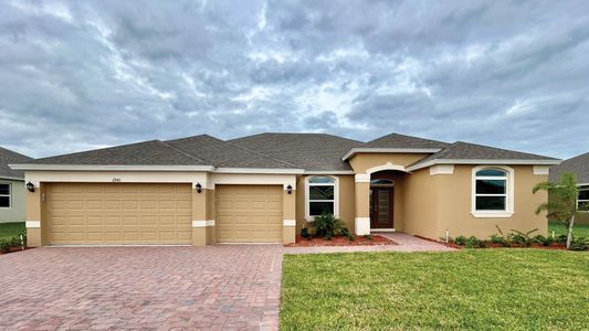 New construction Single-Family house 6943 Agate Dr, Grant-Valkaria, FL 32949 Elm- photo 21 21