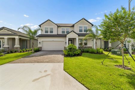 New construction Single-Family house 5596 Freesia Dr, Lakeland, FL 33811 plan Salinas - image