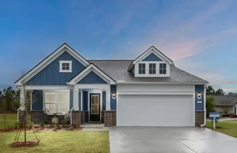 New construction Single-Family house Charleston, SC 29492 null- photo 0
