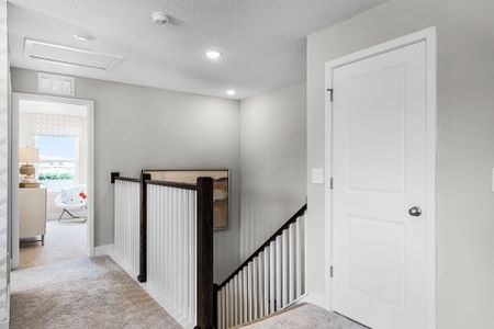 New construction Single-Family house 847 Emerald Grove Dr, Apopka, FL 32703 plan Paxton - image 20