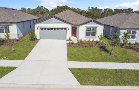 New construction Single-Family house 459 Pine Tree Blvd, Lake Alfred, FL 33850 Chapman- photo 2 2