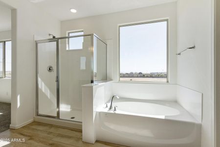 New construction Single-Family house 15675 W Mercer Ln, Surprise, AZ 85379 null- photo 19 19