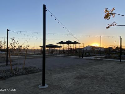 New construction Single-Family house 1081 E Peach Tree Dr, Chandler, AZ 85249 - image 19