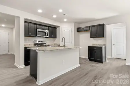 New construction Single-Family house 306 Elm St, Lancaster, SC 29720 - image