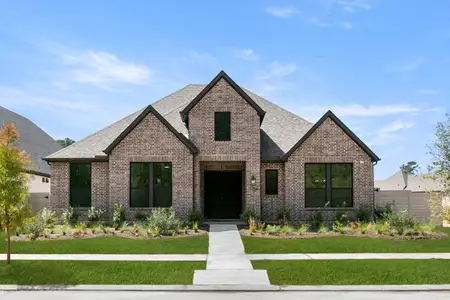 New construction Single-Family house 11754 Pitter Patter Dr, Montgomery, TX 77316 plan Brenner - image