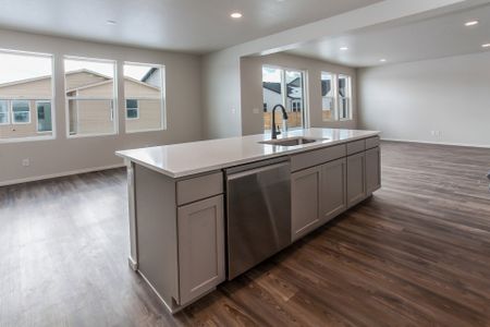 New construction Single-Family house 2963 Barnstormer Street, Fort Collins, CO 80524 Twain- photo 28 28