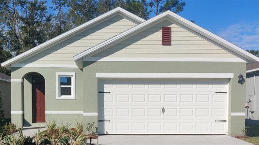 New construction Single-Family house 956 Bluet Dr, Port Orange, FL 32129 plan Allex - image
