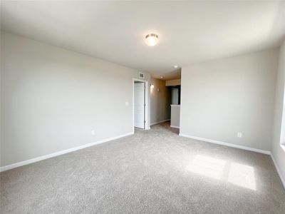 New construction Single-Family house 431 Ferrule Dr, Kyle, TX 78640 The David Moore II- photo 19 19