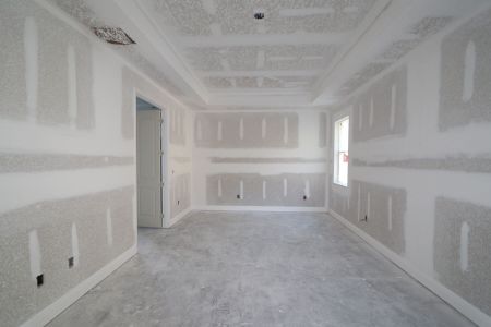 New construction Single-Family house 20339 Oriana Loop, Land O' Lakes, FL 34638 Newport II- photo 57 57