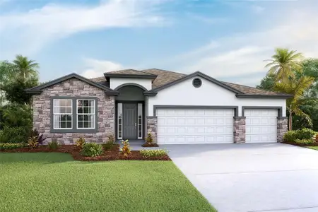 New construction Single-Family house 3050 Canopy Oak Blvd, Wildwood, FL 34785 plan Destin - image