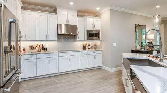 New construction Single-Family house 11236 Kingly Ln, Odessa, FL 33556 Abaco- photo 9 9
