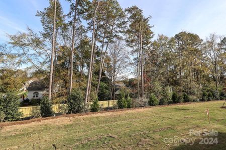 New construction Townhouse house 2033 Bayou Trace Dr, Charlotte, NC 28262 null- photo 30 30