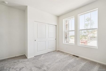 New construction Single-Family house 1905 Water Birch Way, Castle Rock, CO 80108 null- photo 25 25