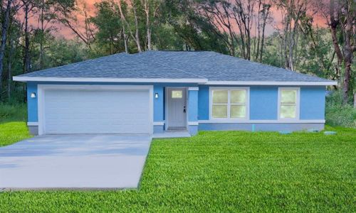 New construction Single-Family house 2923 Se 140Th Ln, Summerfield, FL 34491 - image