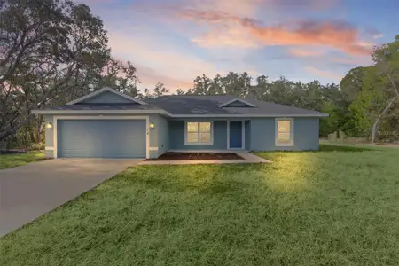 New construction Single-Family house 18 Fisher Terrace Wy, Ocklawaha, FL 32179 - image