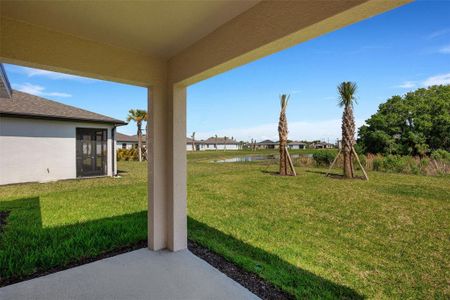 New construction Single-Family house 9737 Last Light Gln, Parrish, FL 34219 Sentinel- photo 29 29